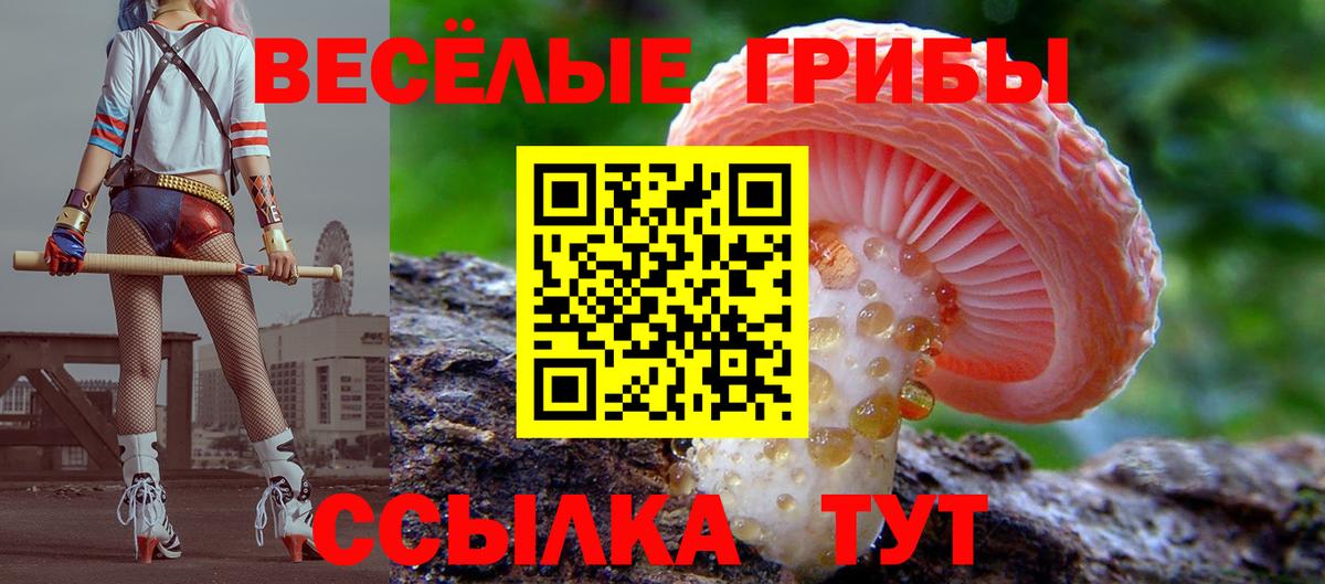 Псилоцибиновые грибы мухоморы Бузулук
