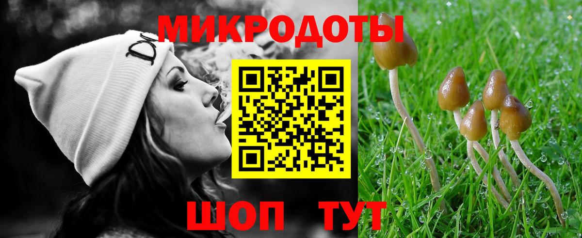 Бузулук  Псилоцибиновые грибы мухоморы  Вход с VPN  Псилоцибиновые грибы мухоморы 